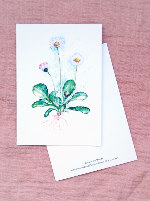 Premium Postkarte "Gänseblümchen"